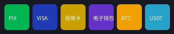 平台支持的多种支付方式图标